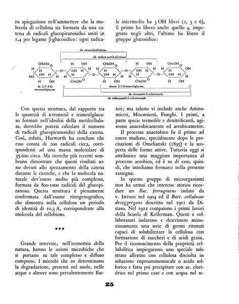 Il saggiatore rivista mensile di attualità scientifica