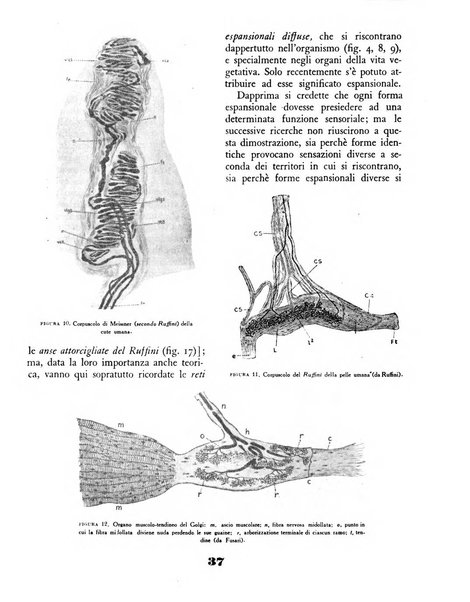 Il saggiatore rivista mensile di attualità scientifica