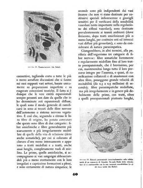 Il saggiatore rivista mensile di attualità scientifica