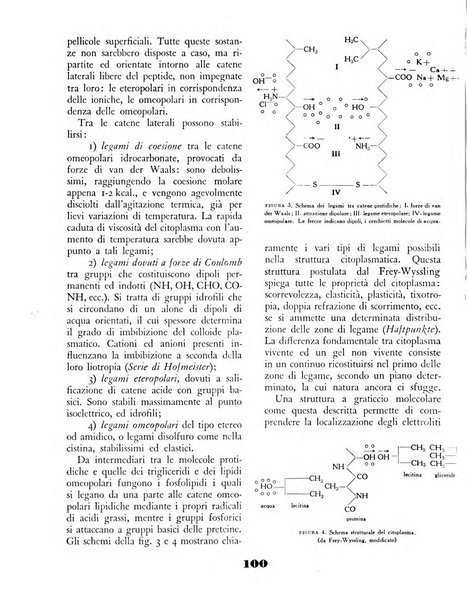 Il saggiatore rivista mensile di attualità scientifica