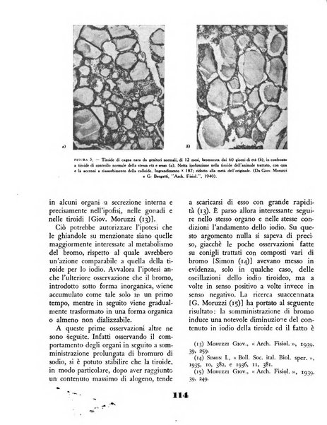 Il saggiatore rivista mensile di attualità scientifica