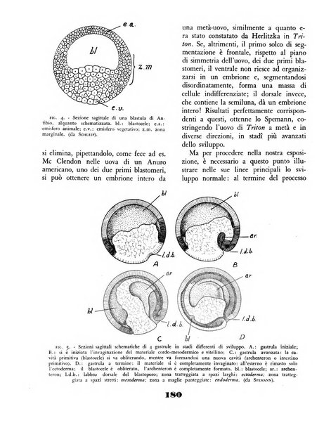 Il saggiatore rivista mensile di attualità scientifica