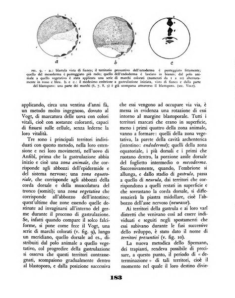 Il saggiatore rivista mensile di attualità scientifica