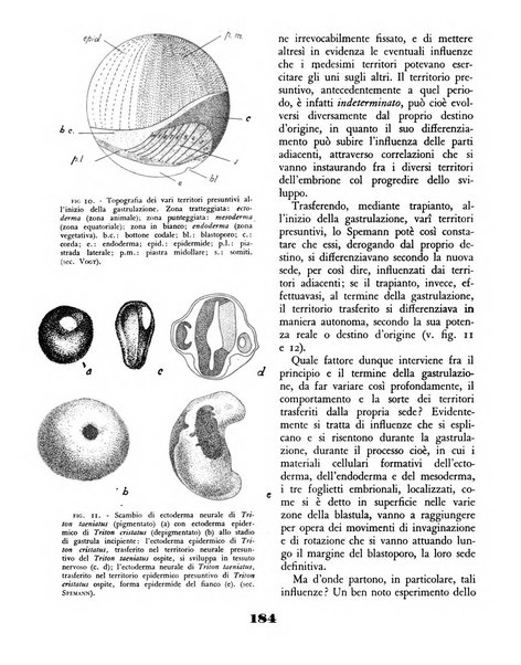 Il saggiatore rivista mensile di attualità scientifica