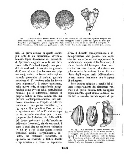 Il saggiatore rivista mensile di attualità scientifica