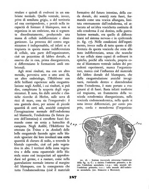 Il saggiatore rivista mensile di attualità scientifica