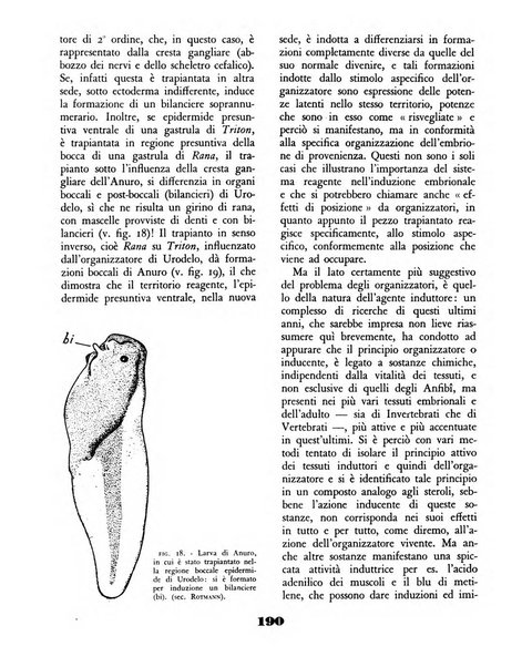 Il saggiatore rivista mensile di attualità scientifica