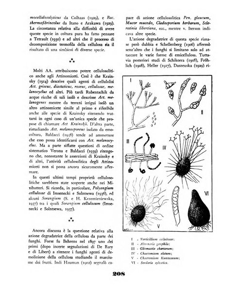 Il saggiatore rivista mensile di attualità scientifica