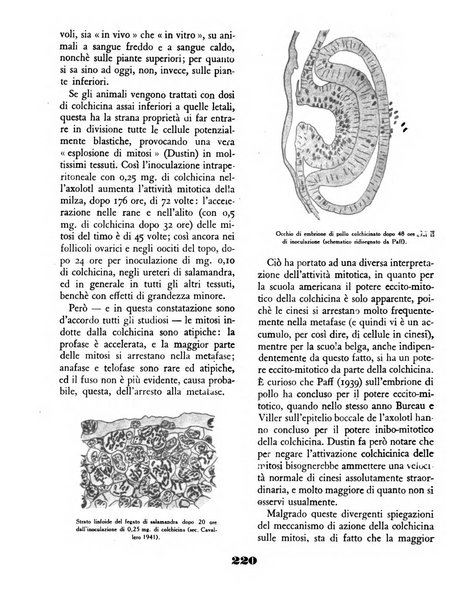 Il saggiatore rivista mensile di attualità scientifica