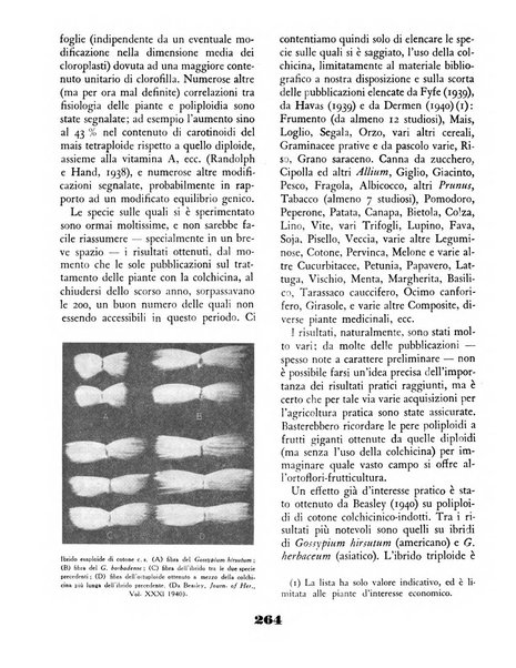 Il saggiatore rivista mensile di attualità scientifica