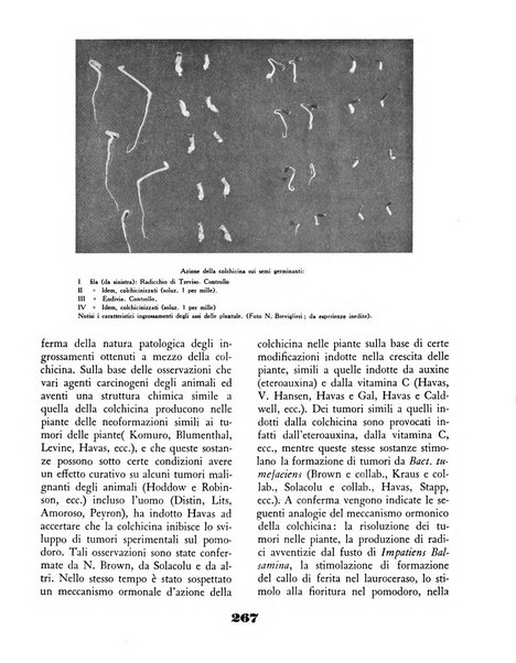 Il saggiatore rivista mensile di attualità scientifica