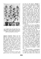 giornale/TO00194451/1941/unico/00000336
