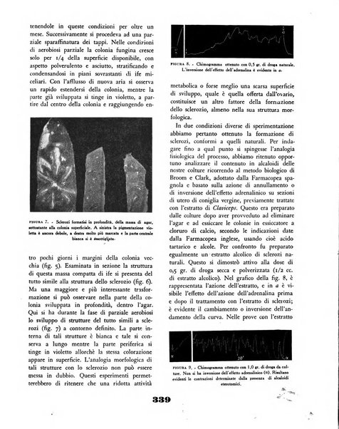 Il saggiatore rivista mensile di attualità scientifica