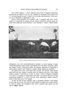 giornale/TO00194481/1913/V.3/00000209