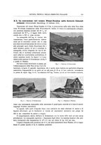 giornale/TO00194481/1913/V.3/00000243