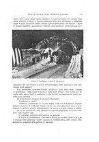 giornale/TO00194481/1915/V.8/00000211