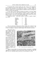 giornale/TO00194481/1920/V.17/00000159