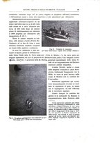 giornale/TO00194481/1921/V.19/00000121