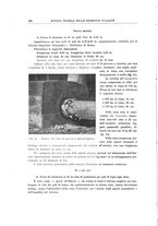 giornale/TO00194481/1923/V.24/00000228
