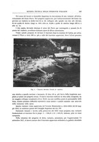 giornale/TO00194481/1928/V.33/00000225