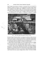 giornale/TO00194481/1928/V.34/00000220