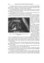 giornale/TO00194481/1929/V.36/00000206