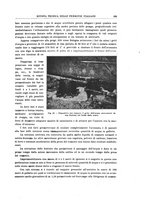 giornale/TO00194481/1929/V.36/00000207