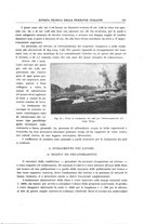 giornale/TO00194481/1931/V.39/00000161