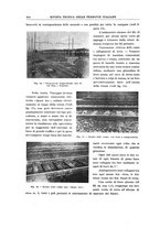 giornale/TO00194481/1931/V.39/00000274