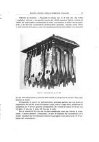 giornale/TO00194481/1931/V.40/00000043