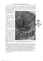 giornale/TO00194481/1932/V.41/00000381