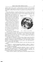 giornale/TO00194481/1932/V.42/00000029