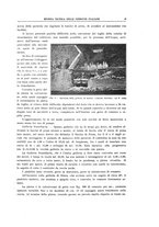 giornale/TO00194481/1933/V.44/00000025