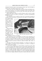giornale/TO00194481/1933/V.44/00000029