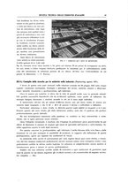 giornale/TO00194481/1936/V.50.1/00000061