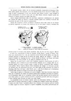 giornale/TO00194481/1937/V.51/00000263