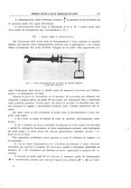 giornale/TO00194481/1938/unico/00000275