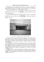 giornale/TO00194481/1939/V.55/00000355