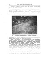 giornale/TO00194481/1939/V.55/00000426