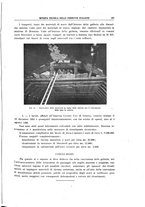 giornale/TO00194481/1939/V.55/00000431