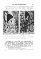 giornale/TO00194481/1939/V.56/00000125