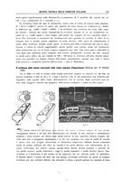 giornale/TO00194481/1940/unico/00000383