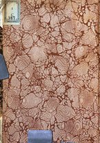 giornale/TO00194496/1921/unico/00000002