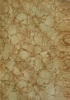 giornale/TO00194555/1911/v.2/00000003