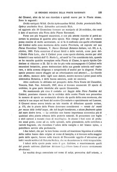 La Romagna rivista mensile di storia e di lettere diretta da Gaetano Gasperoni e da Luigi Orsini