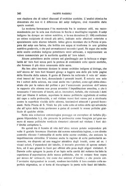 La Romagna rivista mensile di storia e di lettere diretta da Gaetano Gasperoni e da Luigi Orsini