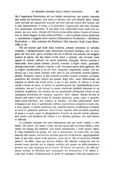 La Romagna rivista mensile di storia e di lettere diretta da Gaetano Gasperoni e da Luigi Orsini