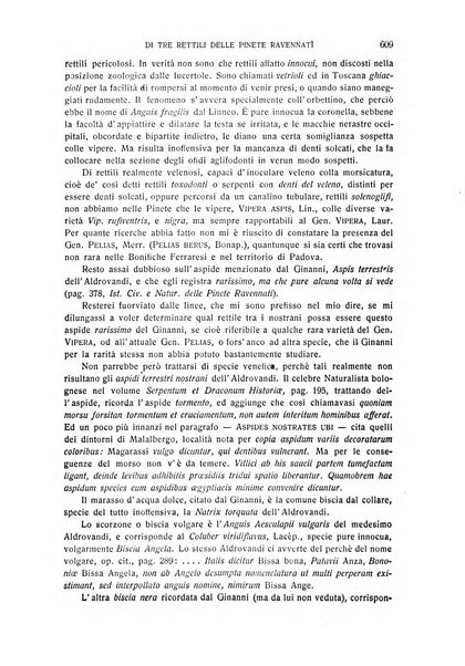 La Romagna rivista mensile di storia e di lettere diretta da Gaetano Gasperoni e da Luigi Orsini