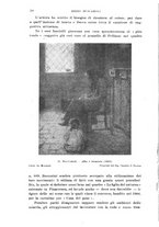 giornale/TO00194561/1924/unico/00000024