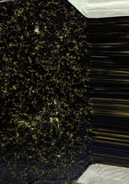 giornale/TO00194565/1940/v.2/00000001